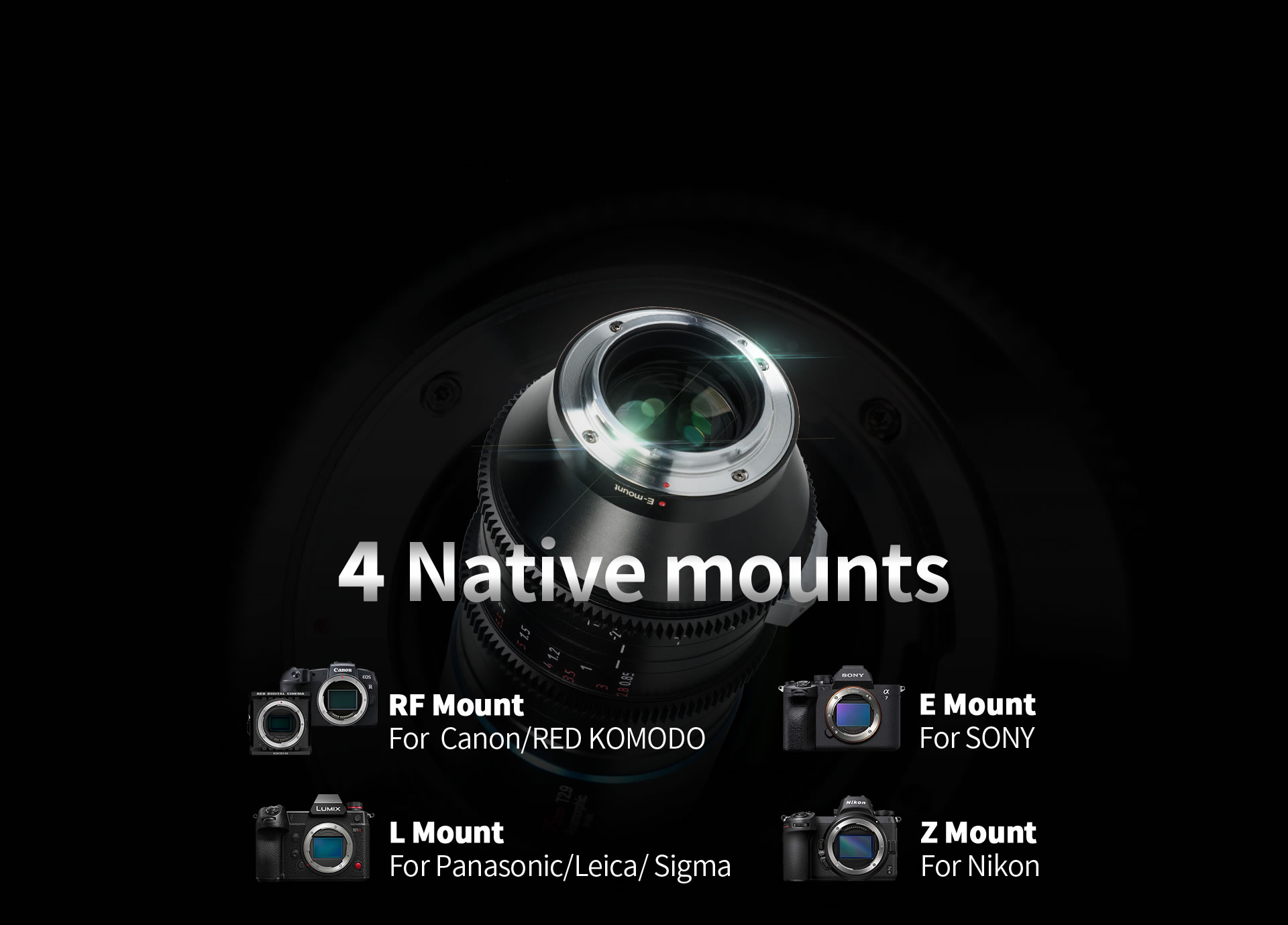Four Native Mounts